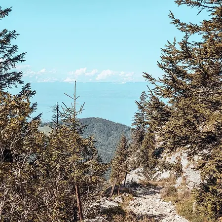 La Croisee Шампанж